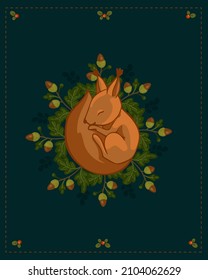 Little sleeping squirrel on a background of oak branches with acorns. Cartoon vector graphics.