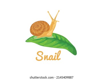 Little Snail on the leaf illustration for cosmetic skin care product or food product