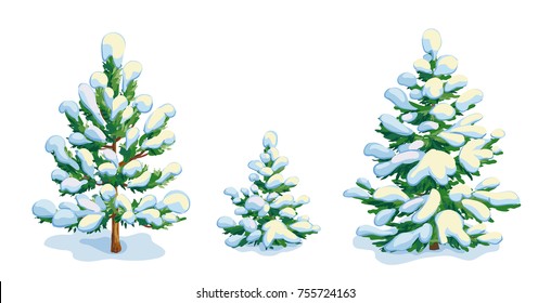 Little snow  covered pine tree   two fir trees  Vector dwawing  EPS8
