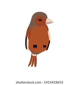 Little Sparrow Bird, Cute Birdie Home Pet Vector Illustration