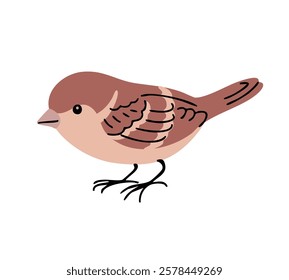 Little sparrow bird. Urban feathered. Animals, nature and ornithology. Cartoon vector illustration isolated on white background