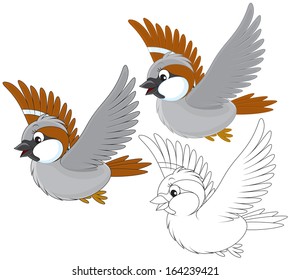 Little sparrow flying