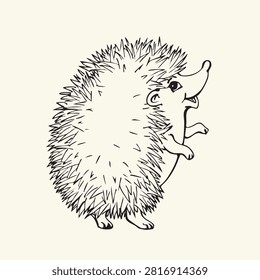 Little spiky hog stand sit white ground backdrop. Close up side view adorabl nice gray bristle beast pup face look fun chew eat food walk go paw grass text space dark ink pen hand drawn picture emblem pictogram old retro funny pencil engrav art style