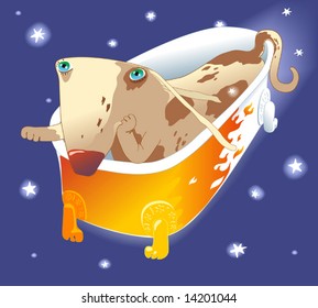 little spotted dachshund puppy flying in the retro bath