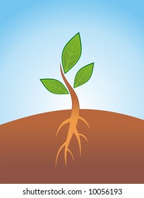 Little sprout with green leaf and root