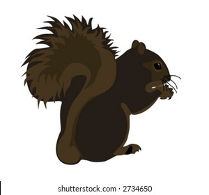 Little squirrel with a nut