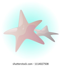 Little starfish vector illustration