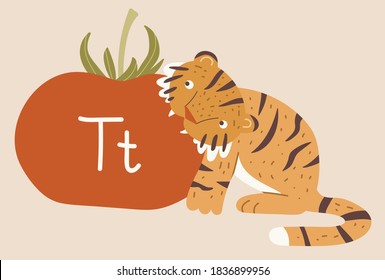 Little tiger is bitting tomato. Funny vector hand drawn illustration for kid design. Abc book, poster, print. Cute animals and vegetables. Hand lettering Tt.