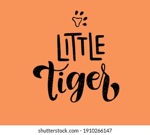 Little Tiger phrase. Hand drawn calligraphy and script style baby shower lettering quote. Print, invitation, card, poster design element.