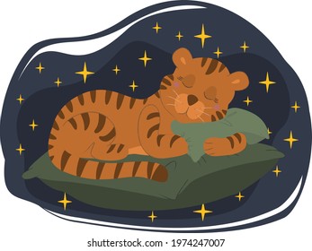 Little tiger sleeps on a pillow