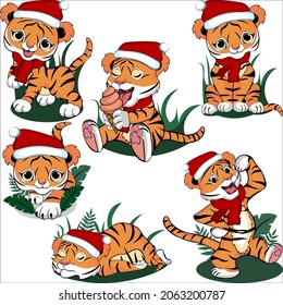 The little tiger stands, crawls, sleeps, eats, walks and sits. Collection of drawings of a small New Year's tiger. Vector illustration