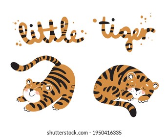 little tigers stretching and sleeping vector illustration 