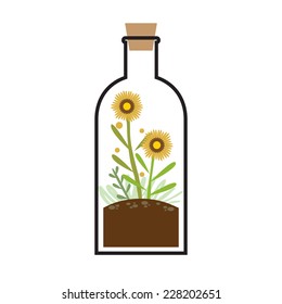 Little Tree In A Bottle Vector Illustration