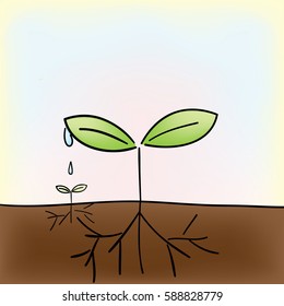 A little tree is growing up by the drop of the water from a big tree