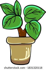 Árbol pequeño en la olla, ilustración, vector sobre fondo blanco