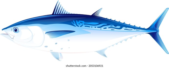 Little tunny fish in side view, realistic sea fish illustration on white background, commercial and recreational fisheries