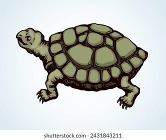 The little turtle is crawling. Vector drawing