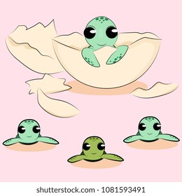 little turtle from the egg