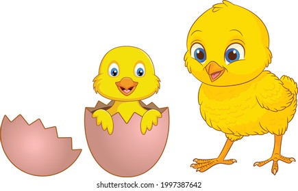 Little two chick cartoon vector art and illustration