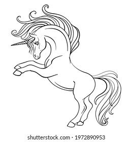 Little unicorn with a long mane and tail. Vector black and white illustration for coloring page. For adult antistress coloring books, tattoo, print and design, posters, cards, stickers, decor, apparel