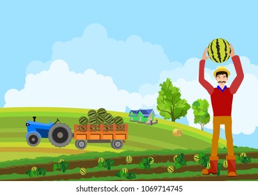 Little village in green hills a field in the countryside, outside park view summer landscape view, ships and lamb