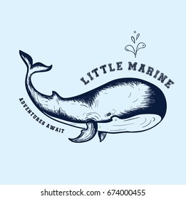 little whale illustration vector for print