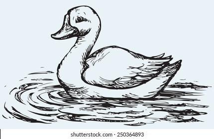 Little white duck floating on the waves. Vector monochrome freehand drawn background sketching in style of antiquity pen on paper with space for text