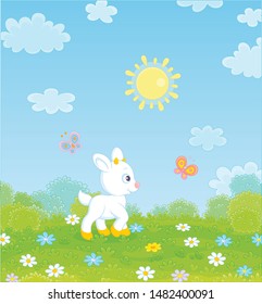 Little white kid playing with flittering colorful butterflies among flowers on green grass of a meadow on a sunny summer day, vector illustration in a cartoon style