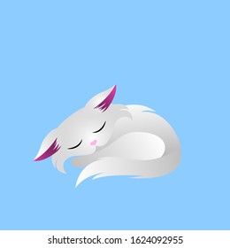 Little white kitten who sleeps