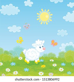 Little white lamb and flittering colorful butterflies among flowers on green grass of a meadow on a sunny summer day, vector illustration in a cartoon style
