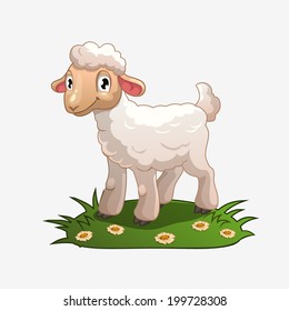 Little white lamb on the grass, isolated vector