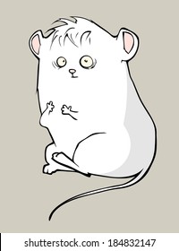 Little white mouse