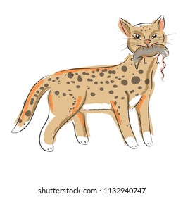 little wild cat hunting