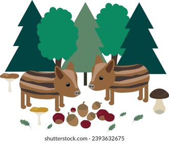 Little wild pigs in woods, chestnuts and acorns.