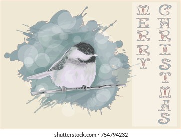 Little Winter Bird - Vector illustration - Christmas Card