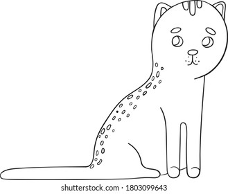 Little wonderful kitten with sad eyes. Coloring. Circuit