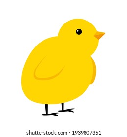 Little Yelllow Chicken simple icon. Vector Illustration EPS10