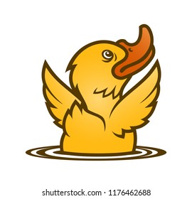 Little yellow baby duck emerging from water