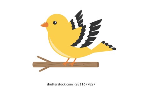 Little yellow bird perches gracefully on a thin brown wooden branch against a plain white background.
