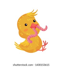 Little yellow cartoon chicken eats a worm. Vector illustration on white background.