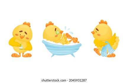 Little Yellow Chick Bathing in Bathtub and Drying with Towel Vector Set