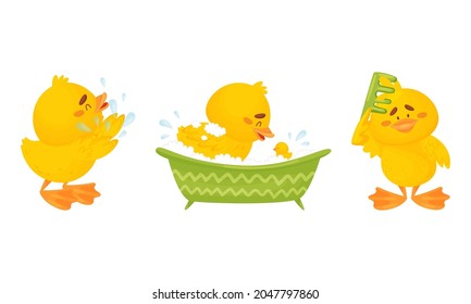 Little Yellow Chick Bathing in Bathtub and Combing Vector Set