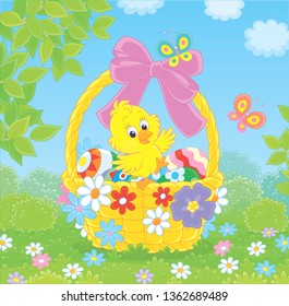 Little yellow chick and colored Easter eggs in a basket decorated with a pink bow among colorful flowers and flittering butterflies on a sunny spring day, vector illustration in a cartoon style