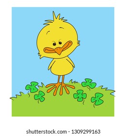 Little yellow chick on green grass and clover. Color