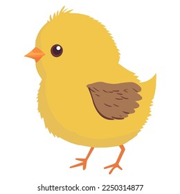 a little yellow chick that has just hatched from an egg. flat vector illustration.