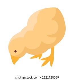 Little yellow chicken on white background 3d isometric vector illustration