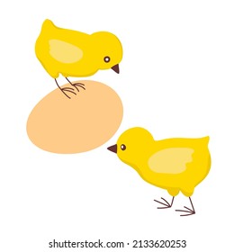 Little yellow chickens and an egg. Vector clipart.
