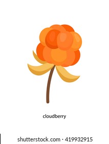 Little yellow cloudberry with leaf