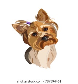 2,758 Cute cartoon yorkshire terrier Images, Stock Photos & Vectors ...