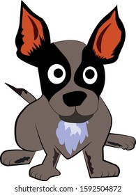 little young black and white dog